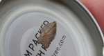 Acleris emargana