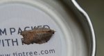 Acleris emargana