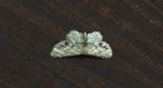 Krocznik połowiczak (Idaea dimidiata)