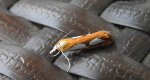 Catoptria pinella