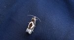 Epiblema foenella