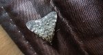 Scoparia basistrigalis lub Eudonia murana