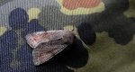 Piętnówka zmiennica (Orthosia incerta)