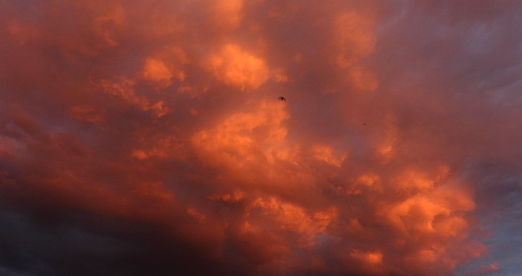 Burza z akcentem jerzyka (dla niewtajemniczonych - taki ptaszek)