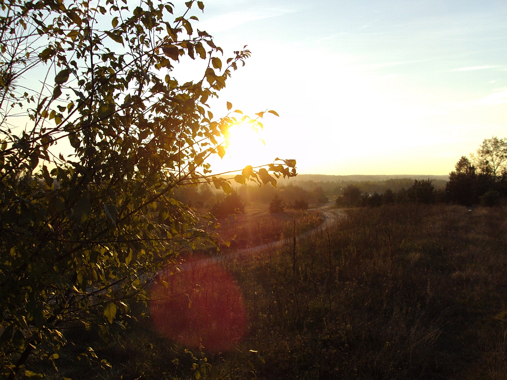 Droga z Lisiej Góry w Wasilkowie