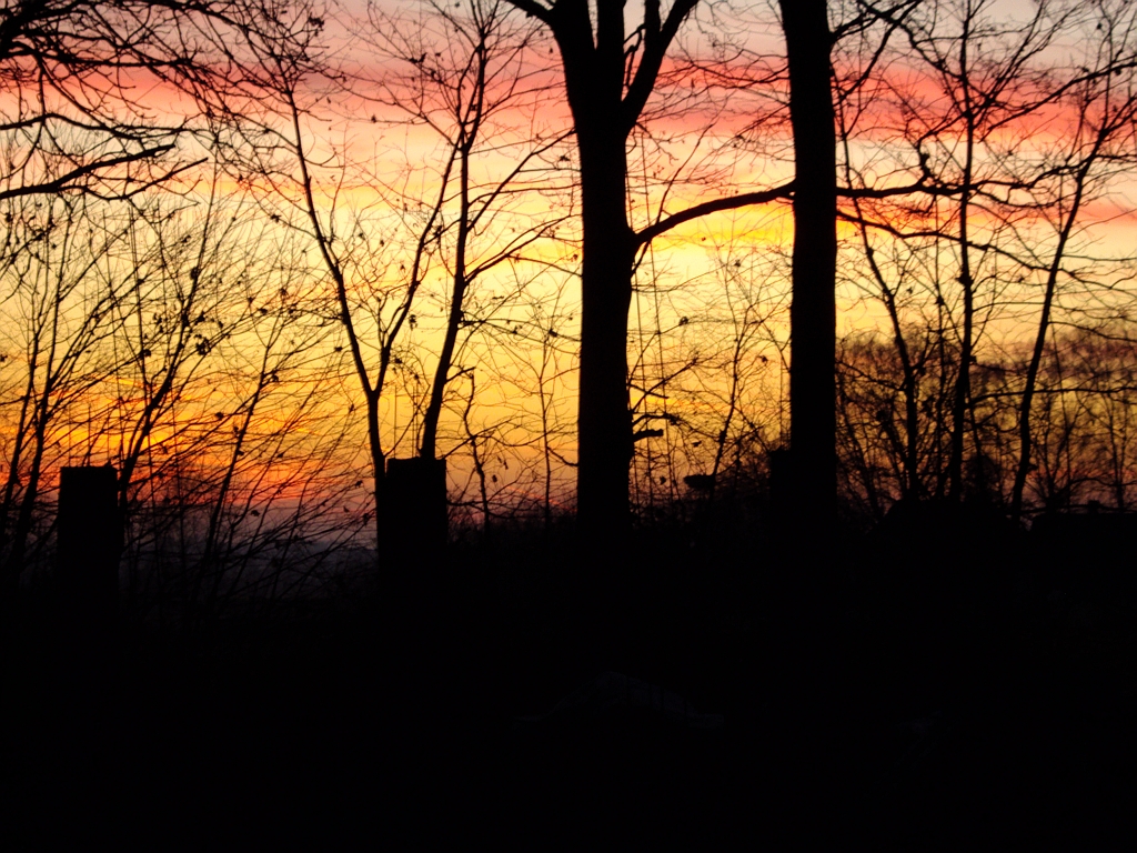 Gdzieś w strefie nadgranicznej