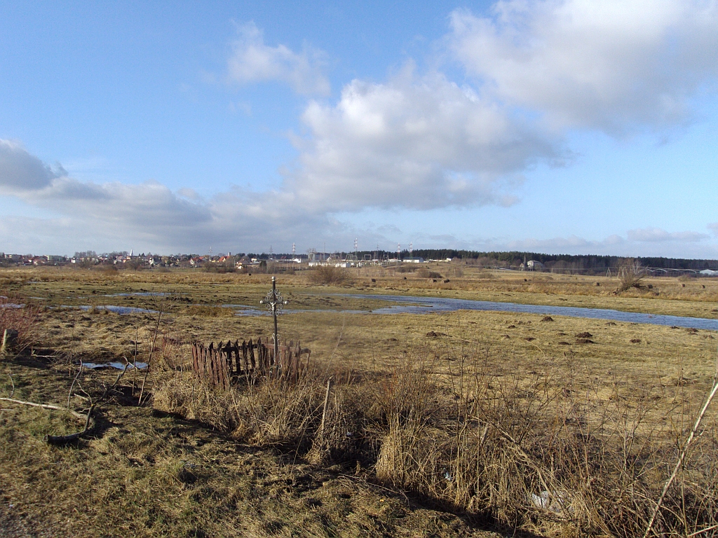 Widok na Wasilków z Nowodworców