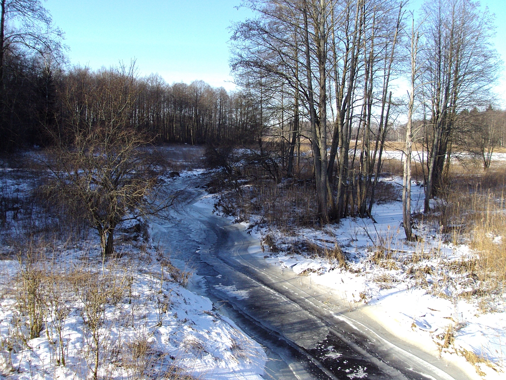 Płoska w okolicach Koziego Lasu