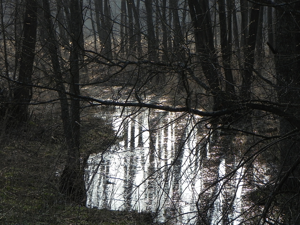 rz. Czarna w m. Mostek