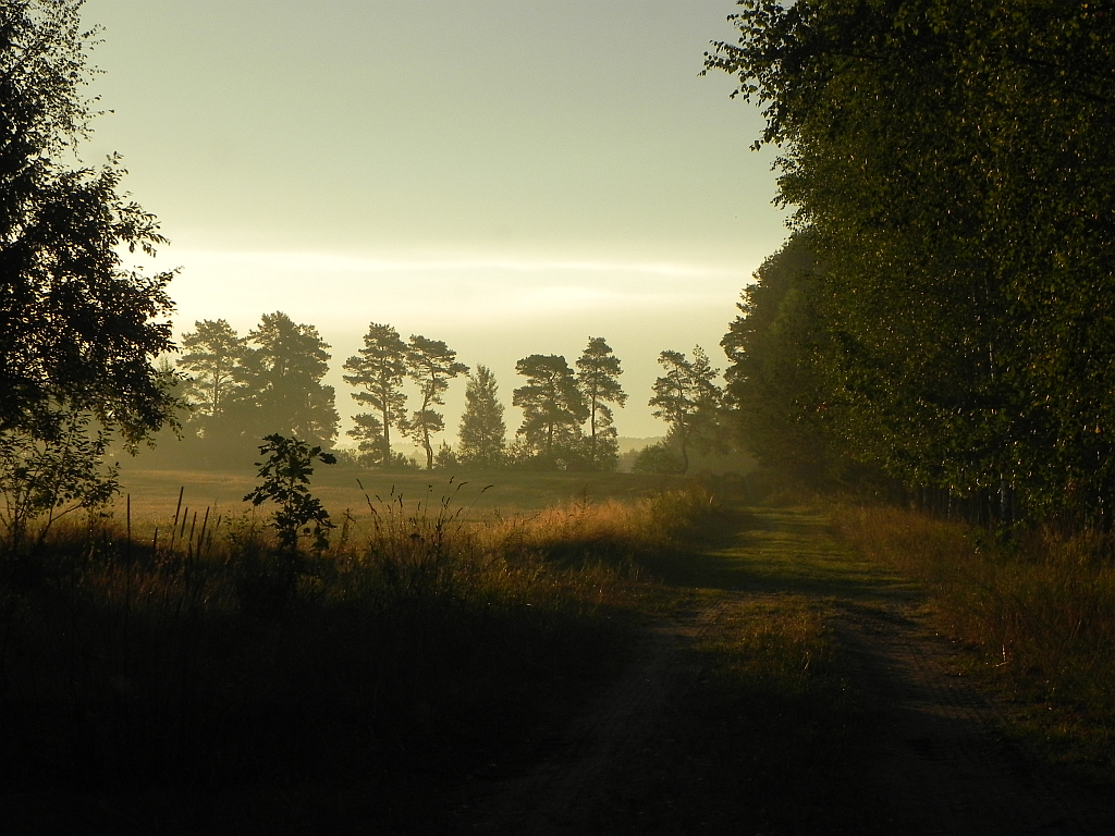 Świt za Wólką Przedmieście