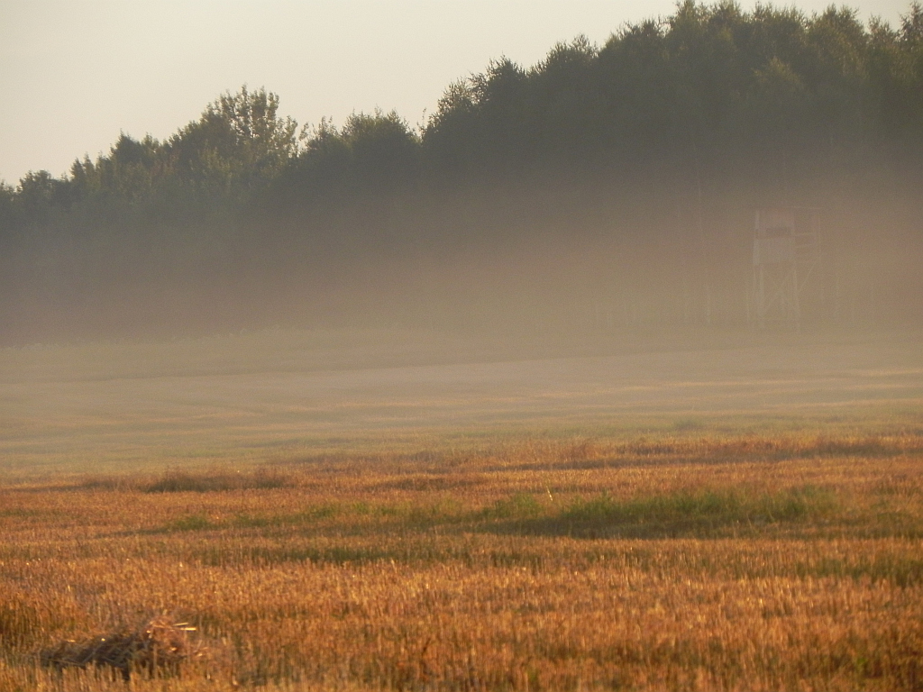 Świt za Wólką Przedmieście