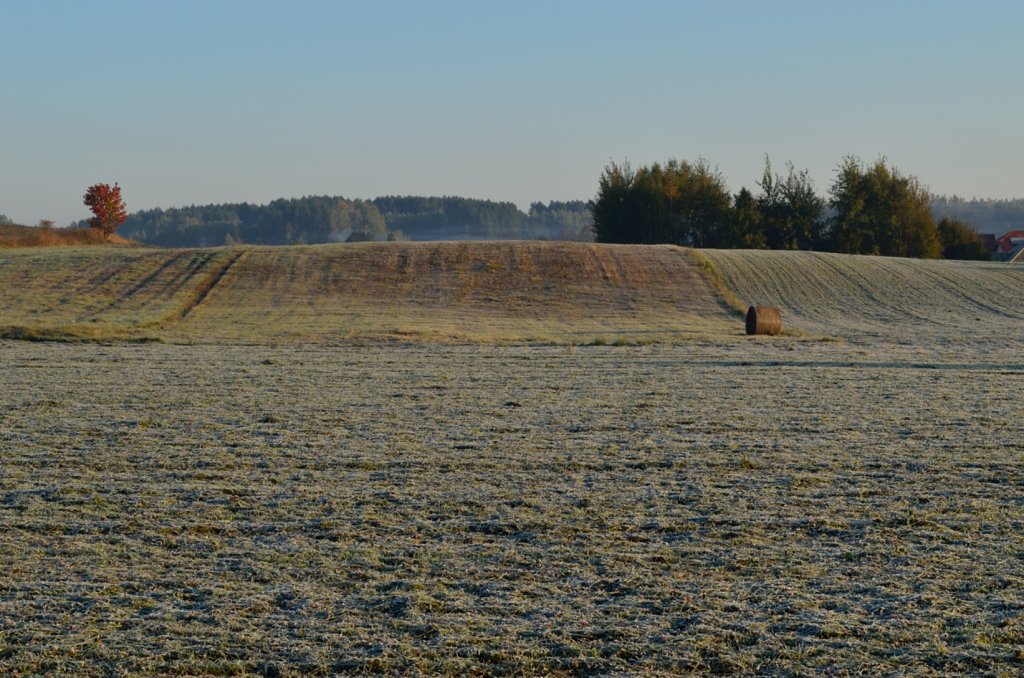 Łąki pod Studziankami