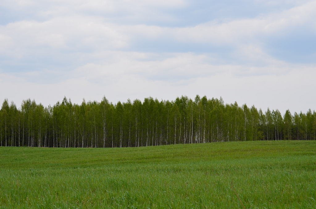 Wólka Przedmieście okolice
