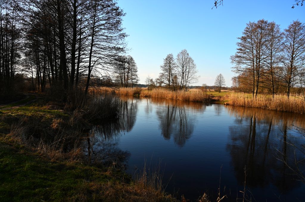 Narew w Rzędzianach