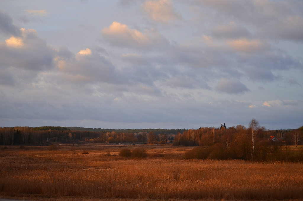 Bagniska nad Czarną