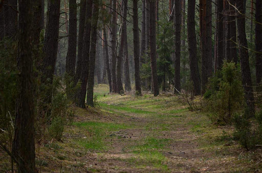 Wólka Przedmieście okolice