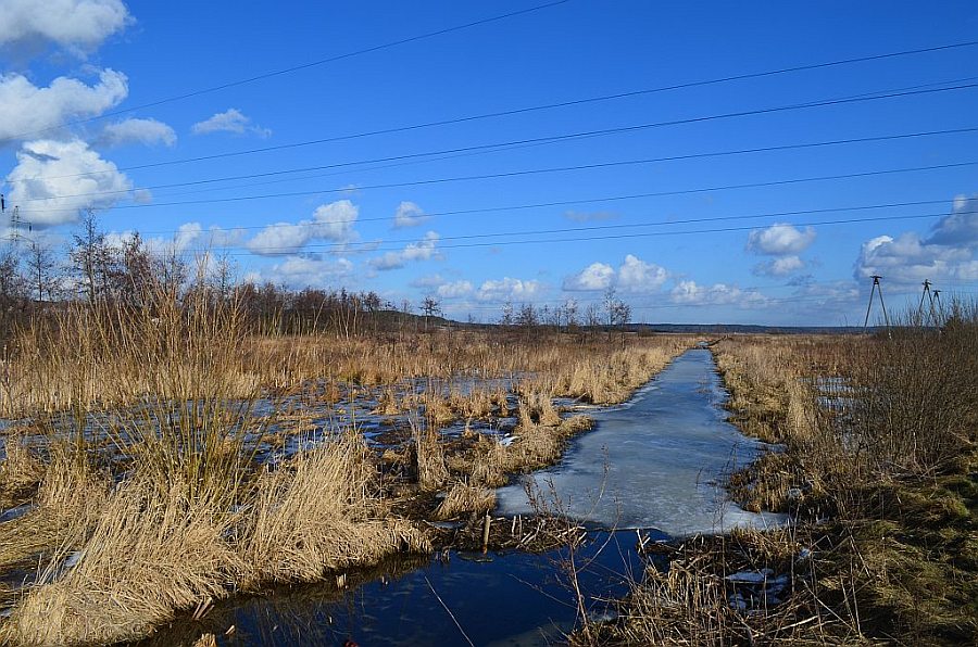 okolice rz. Supraśl