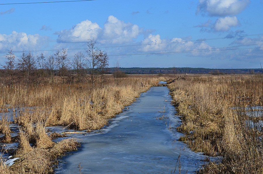 żeremie w okolicach rz. Supraśl
