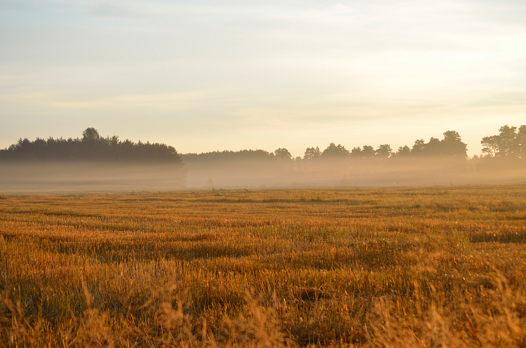 Świt za Wólką Przedmieście