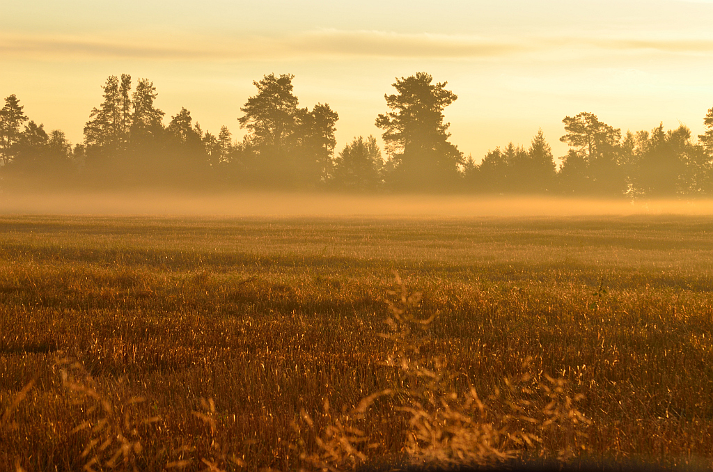 Świt za Wólką Przedmieście