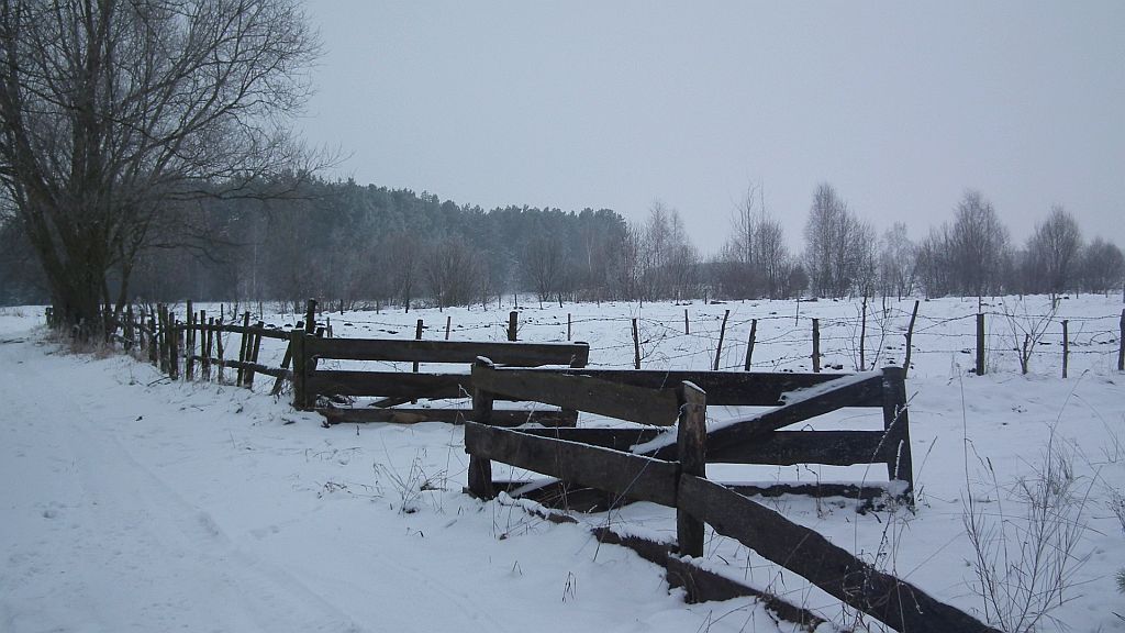 Nadnarwiańskie łąki