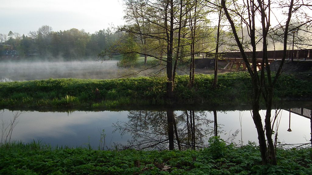 Narewka i staw w Białowieży