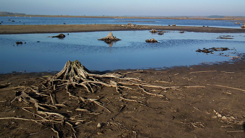 Zombiowa Siemianówka