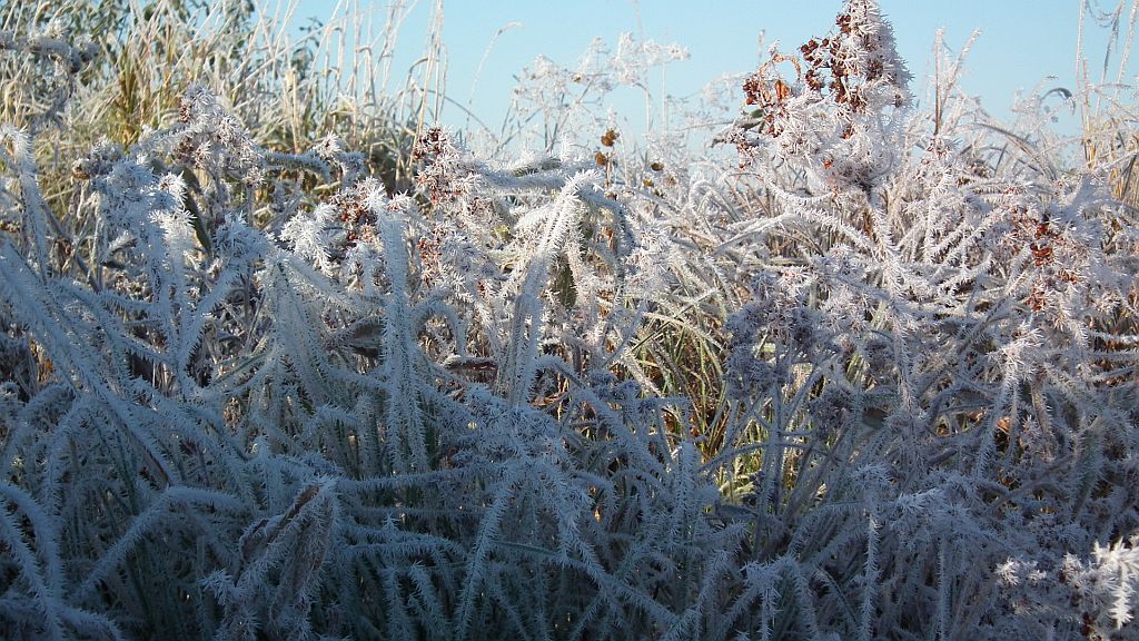 . Łąki nad Siemianówką