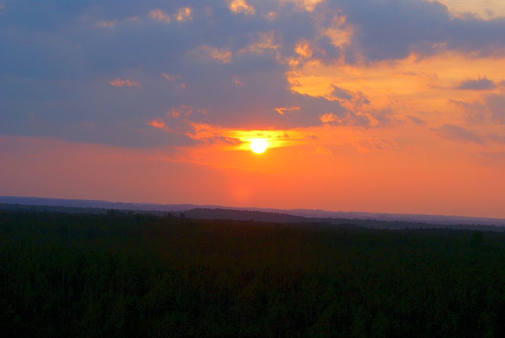 Zmierzch nad Biebrzą