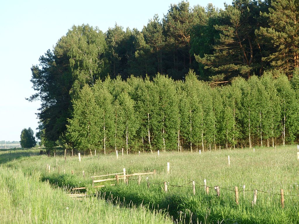 Pradolina Narwi w okolicach Żółtek.