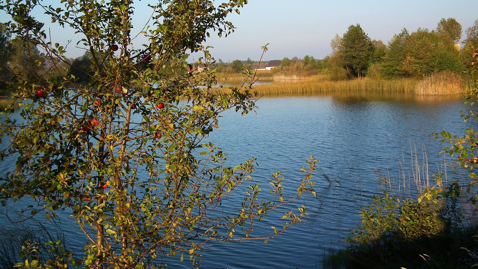 Glinianki w Koplanach