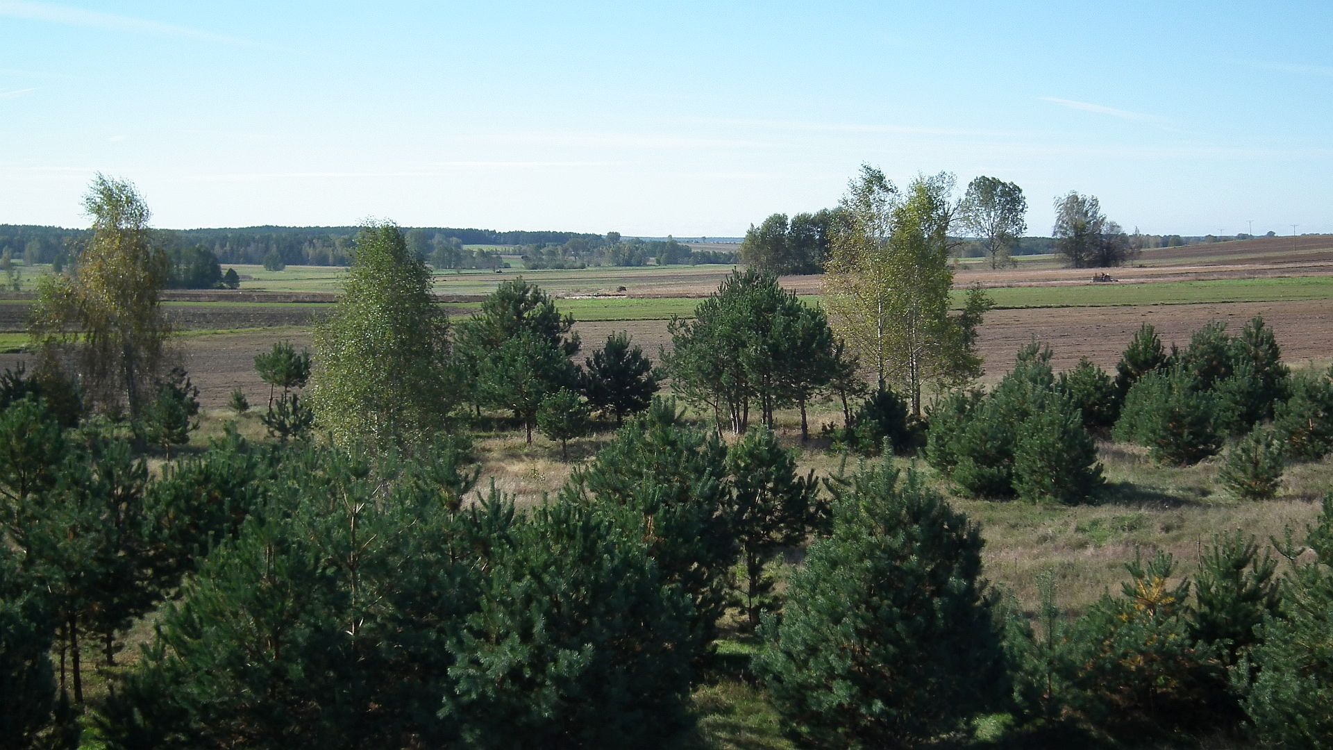 Pradolina Narwi (Łupianka Stara)
