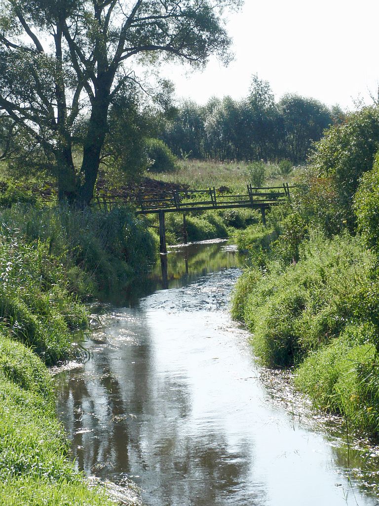 Sokołda w okolicach Lewkowa