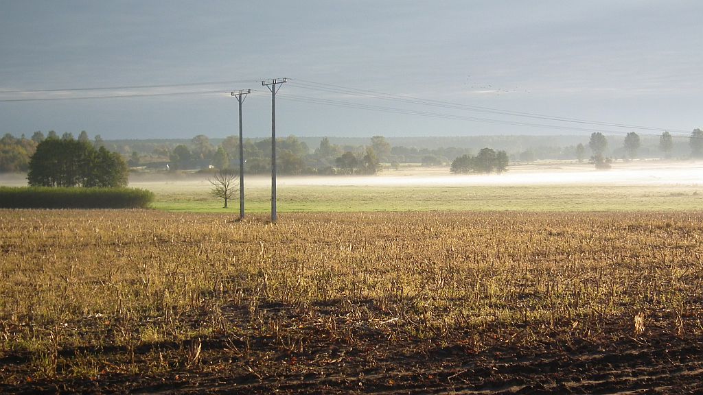 Nowa Wola, droga na Siemianówkę.