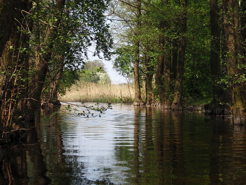 Kanał Krakszty - Lipińskie