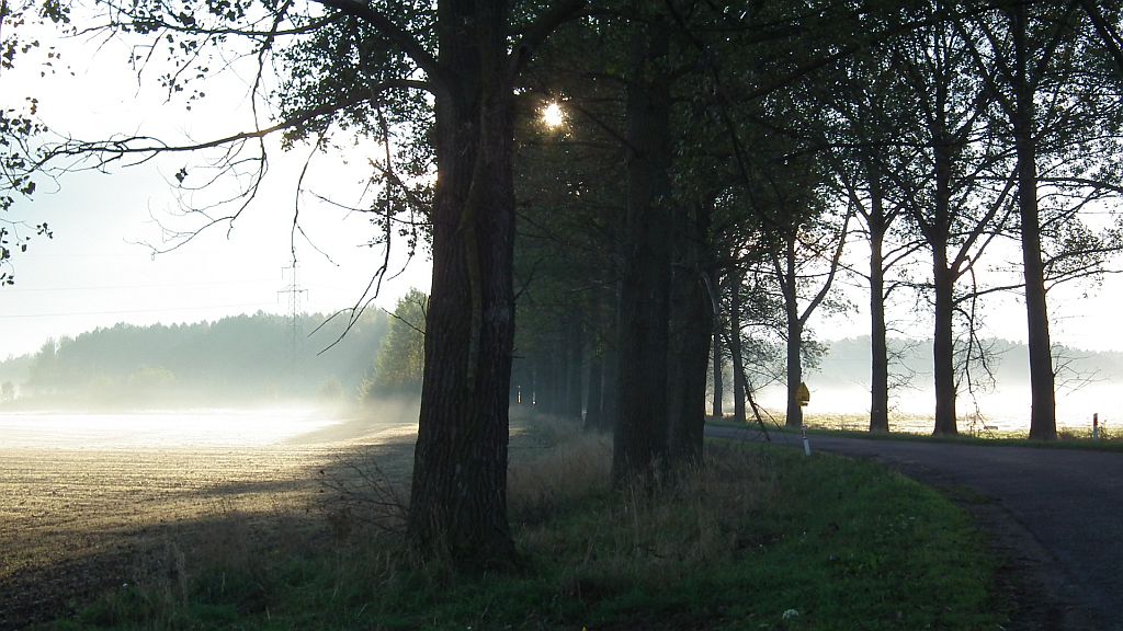 Droga na Siemionówkę