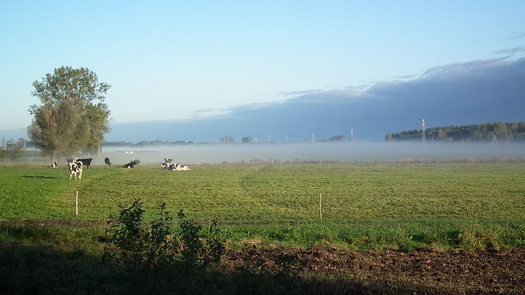 . Łąki w okolicach Nowej Woli.