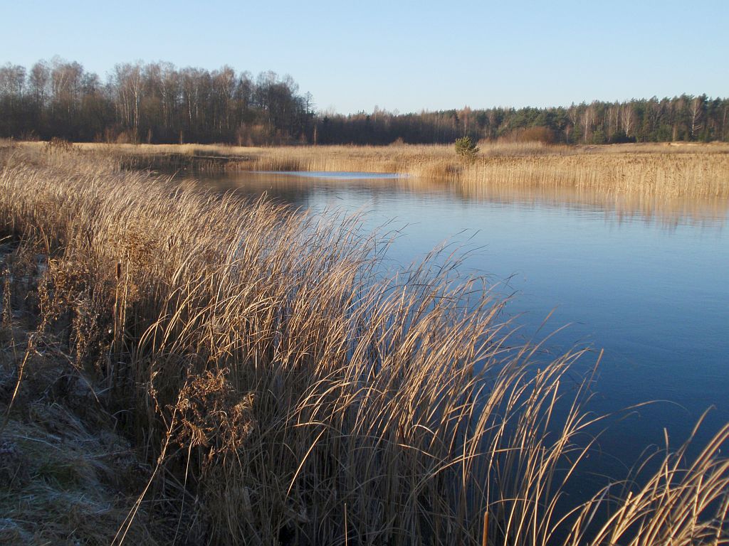 Glinianki w Koplanach.