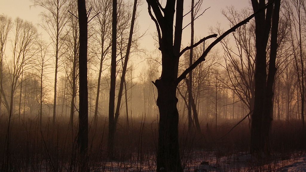 Okolice lotniska na Krywlanach