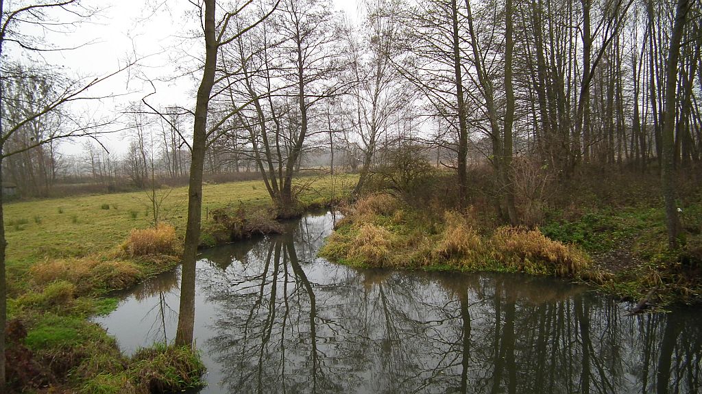Rzeka Łoknica we wsi Kożyno