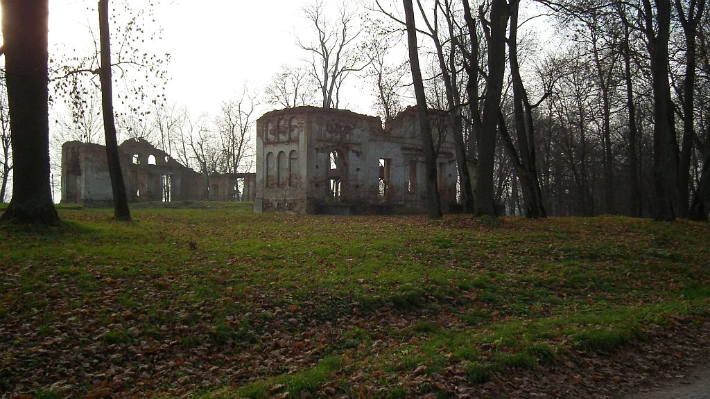 Ruiny pałacu w Hieronimowie