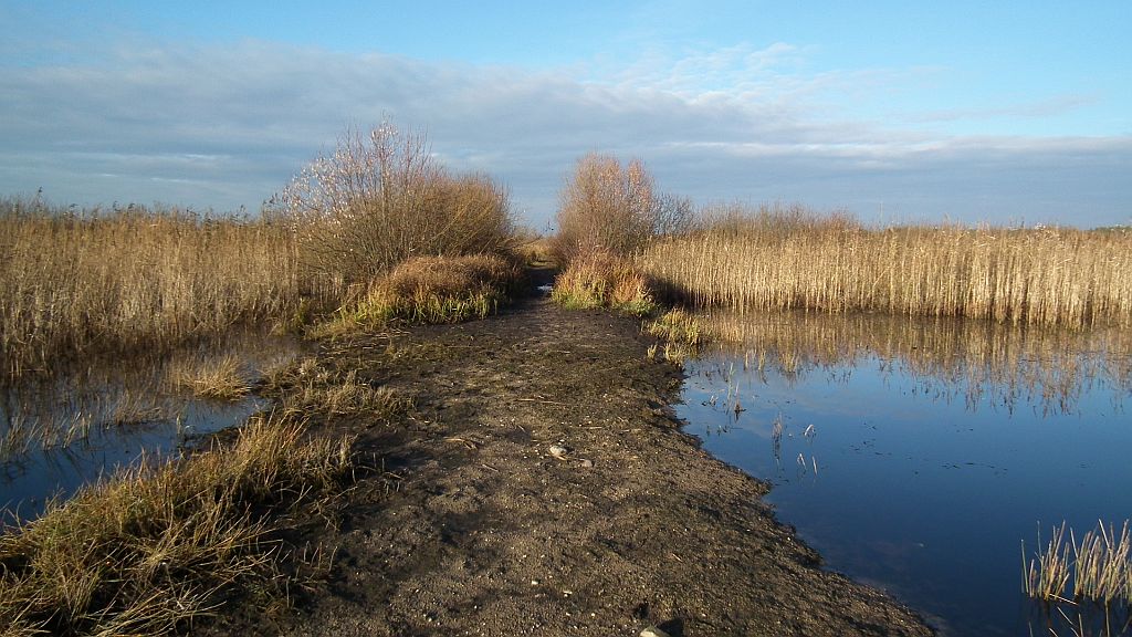 Zatopiona droga przez Siemianówkę