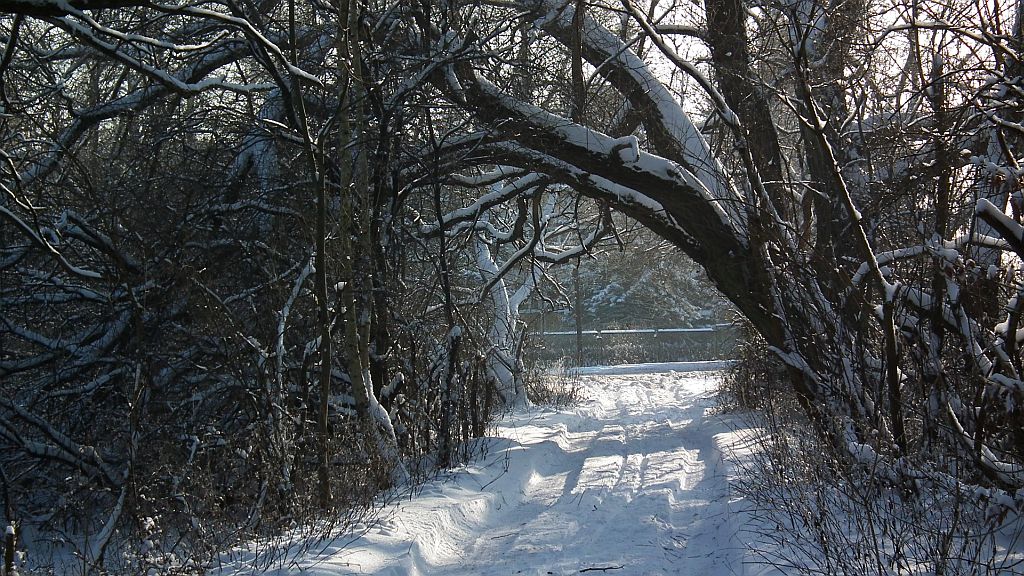 Droga na lotnisko Krywlany