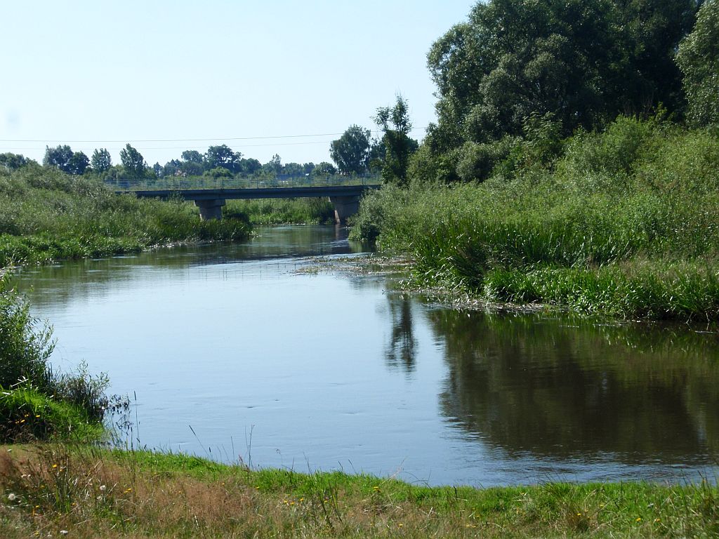 Narew w okolicach Narwi