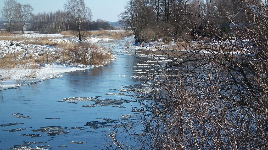 Supraśl w okolicach Dzikich