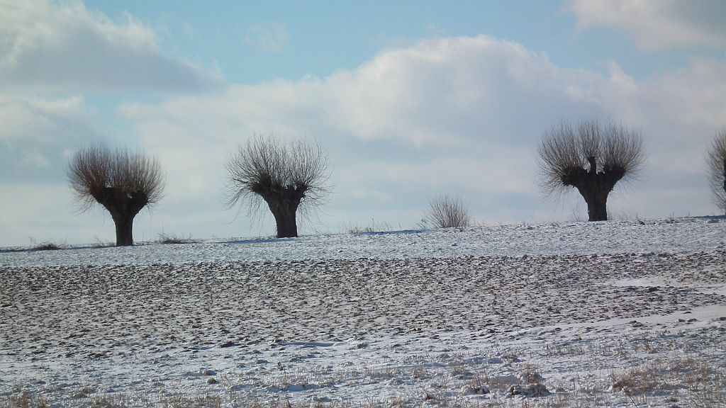Stara droga do Jeżewa