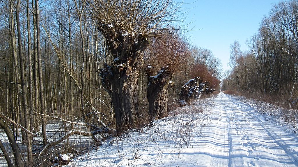 Na zerwany most nad Narwią