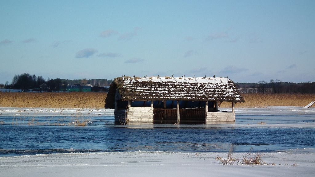 Stodoła nad, w Narwi